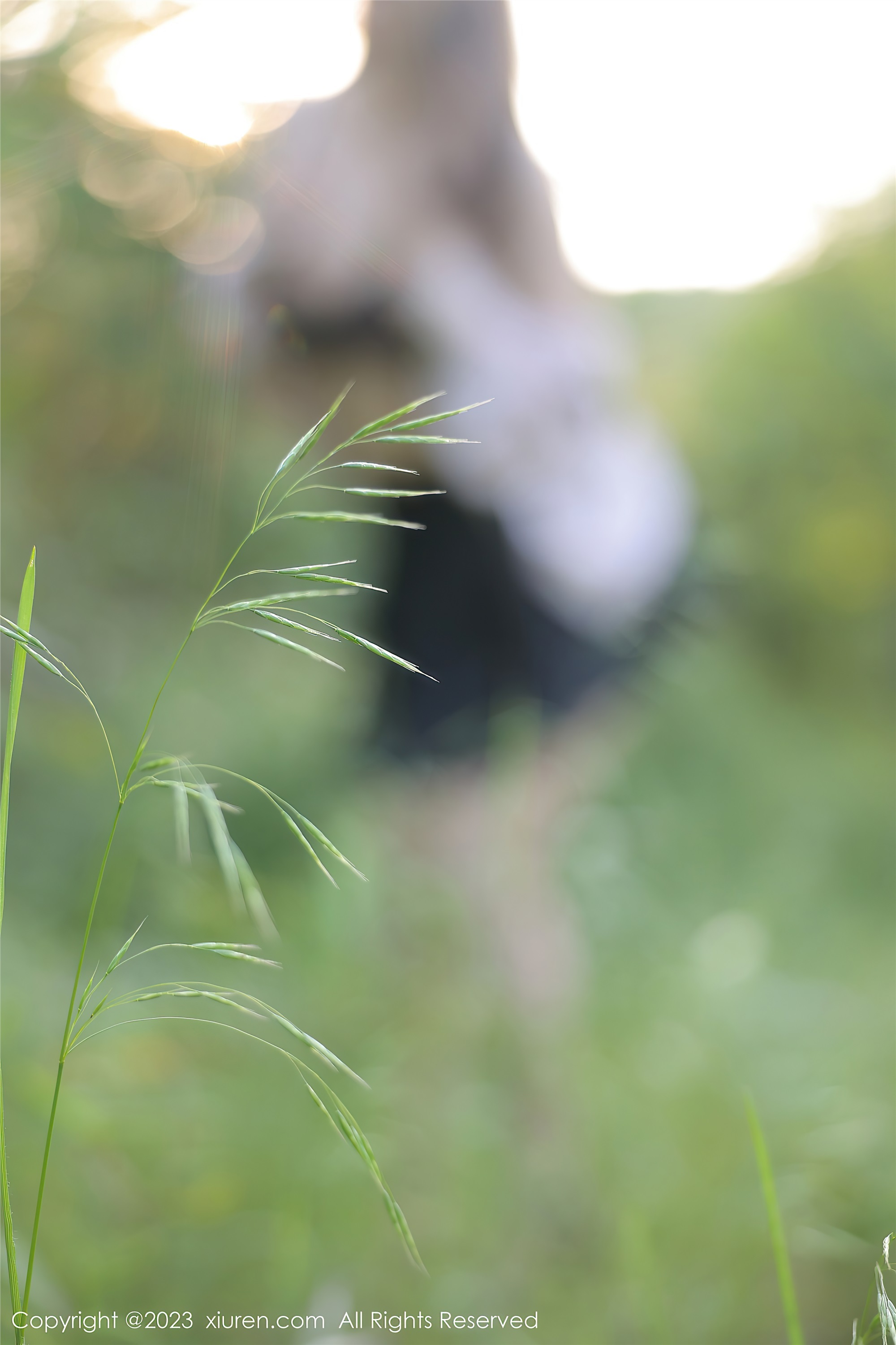 XiuRen秀人网  2023.05.11 NO.6721 江真真